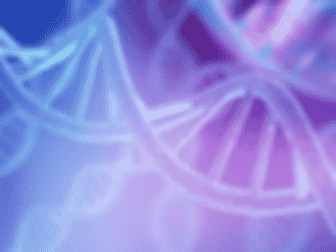 Imagem ilustrativa de Genética