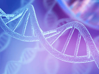 Imagem ilustrativa de Genética