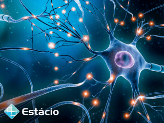 Imagem ilustrativa de Neurociencia Cognitiva, Fundamentos e Aprendizagem