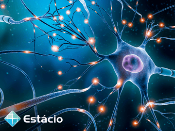 Neurociencia Cognitiva, Fundamentos e Aprendizagem