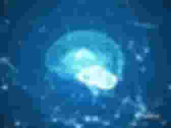 Imagem ilustrativa de Neurolinguística