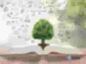 Imagem ilustrativa de Educação Ambiental Através do Alimento