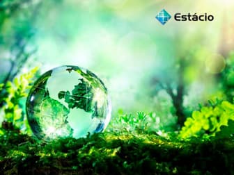 Imagem ilustrativa de Meio Ambiente e Sustentabilidade