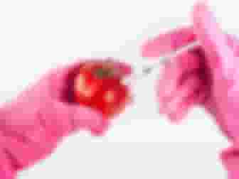 Imagem ilustrativa de Ciência dos Alimentos