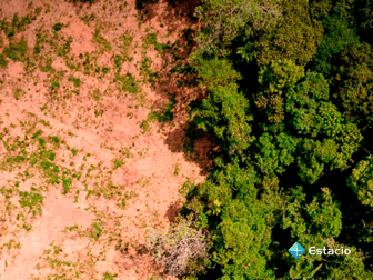 Imagem ilustrativa de Estudos de Impacto Ambiental