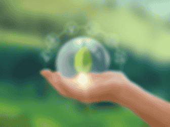 Imagem ilustrativa de Ecologia Aplicada