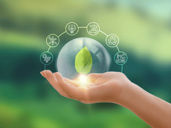 Imagem ilustrativa de Ecologia Aplicada