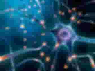 Imagem ilustrativa de Neurociência para Iniciantes