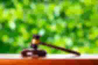 Imagem ilustrativa de Gestão e Legislação Ambiental