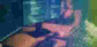 Imagem ilustrativa de Introdução ao Sistema Operacional Linux