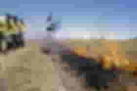 É uma imagem do post com o título Com concurso previsto para janeiro, Ibama divulga PrevFogo