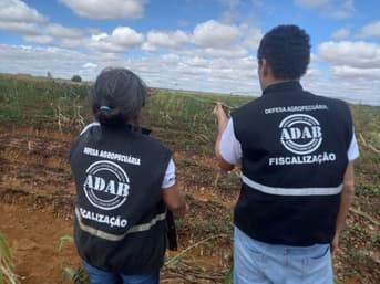 É uma imagem do post com o título Concurso Adab BA: governador anuncia novo edital com 160 vagas