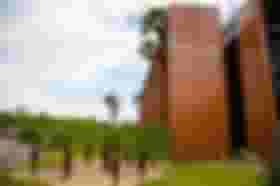 É uma imagem do post com o título Concurso TJ TO da área de Apoio tem validade prorrogada