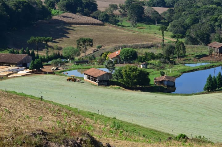Imagem aérea de uma fazenda, com estrada e lago, além da vegetação