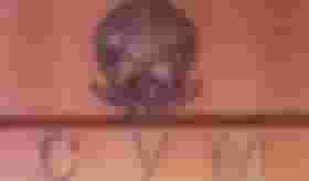 É uma imagem do post com o título Concurso CVM: publicada a nomeação de 60 aprovados; confira!