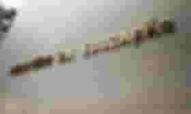 É uma imagem do post com o título Concurso MEC: resultado preliminar da discursiva é divulgado
