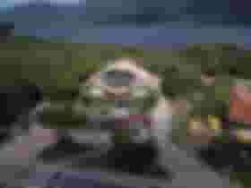 É uma imagem do post com o título Concurso Floram: edital oferece vagas de níveis médio e superior