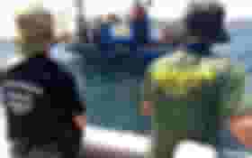 É uma imagem do post com o título Concursos Ibama e ICMBio: veja os cargos ambientais confirmados