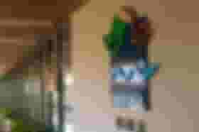 É uma imagem do post com o título Com previsão de concurso, Ibama divulga edital para temporários