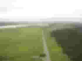 É uma imagem do post com o título ICMBio divulga Processo Seletivo na Flona Goytacazes