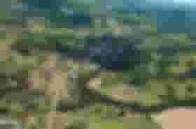 É uma imagem do post com o título Nova Esperança do Sudoeste PR lança concurso com 35 vagas