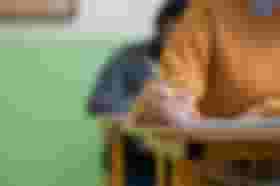 É uma imagem do post com o título Prefeitura de Raposos MG retifica concurso com 464 vagas