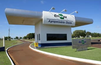 É uma imagem do post com o título Concurso Embrapa: o que estudar para as provas?