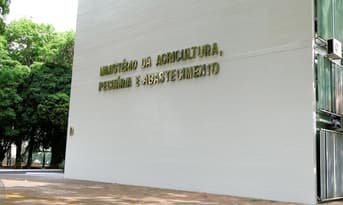É uma imagem do post com o título Novo concurso Mapa é solicitado com 210 vagas; veja cargos