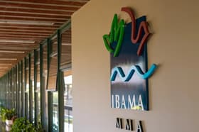 É uma imagem do post com o título Concursos Ibama e ICMBio podem ser autorizados, diz ministra