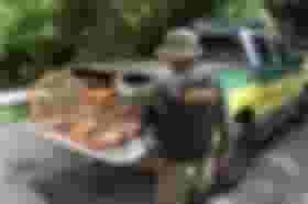 É uma imagem do post com o título Presidente do Ibama confirma planejamento para um novo concurso