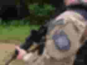 É uma imagem do post com o título Concursos PMERJ e PMSC dividem candidatos; entenda!