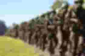 É uma imagem do post com o título Concurso EsPCEx: divulgado novo edital com 440 vagas de cadetes