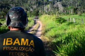 É uma imagem do post com o título Concurso Ibama: publicado edital com 460 vagas de analista