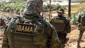 É uma imagem do post com o título Concurso Ibama: como foi o último edital