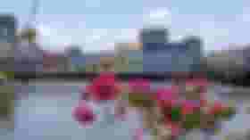 É uma imagem do post com o título Concurso Emprel Recife PE: sai edital com 30 vagas de analista