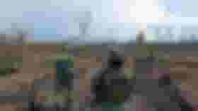 É uma imagem do post com o título Concursos Ambientais ofertarão 3,3 mil vagas em 2024, garante MMA