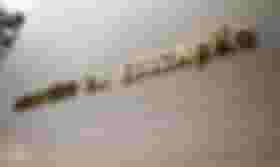É uma imagem do post com o título Concurso MEC terá segundo edital com 70 vagas no CNU; entenda!