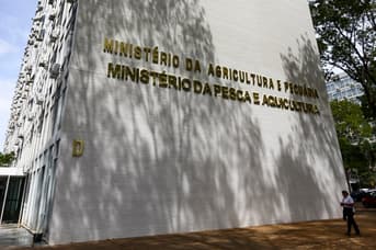 É uma imagem do post com o título Ministério da Pesca divulga edital de concurso com 264 vagas