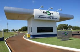 É uma imagem do post com o título Concurso Embrapa: saiba o que faz a empresa. Edital em breve!