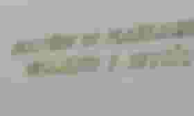 É uma imagem do post com o título Ministério do Planejamento avalia adesão ao Concurso Unificado