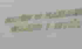 É uma imagem do post com o título Ministério do Planejamento não participará do Concurso Unificado