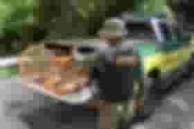 É uma imagem do post com o título Ibama já conta com comissão interna para preparar novo concurso