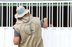 É uma imagem do post com o título Em meio a surto de dengue, TCDF determina novo concurso SES DF