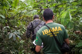 É uma imagem do post com o título Concurso Ibama: número de discursivas zeradas chama atenção