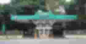 É uma imagem do post com o título Concurso INPA: edital é publicado com 63 vagas de nível superior