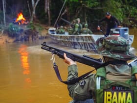 É uma imagem do post com o título Concurso Ibama tem banca definida para edital com 460 vagas