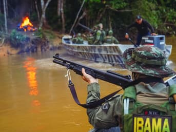 É uma imagem do post com o título Concurso Ibama tem banca definida para edital com 460 vagas