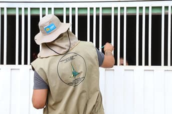 É uma imagem do post com o título Concurso SES DF: diante da dengue, TCDF recomenda mais nomeações