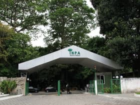 É uma imagem do post com o título Concurso INPA: banca adia o início das inscrições da seleção