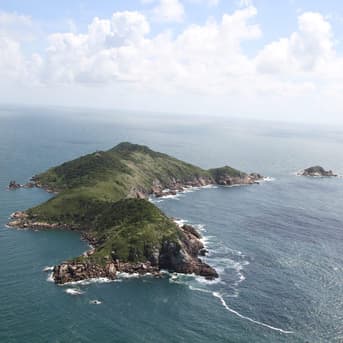 É uma imagem do post com o título ICMBio anuncia novo processo seletivo em Florianópolis SC